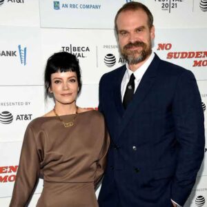 DAVID HARBOUR WIFE