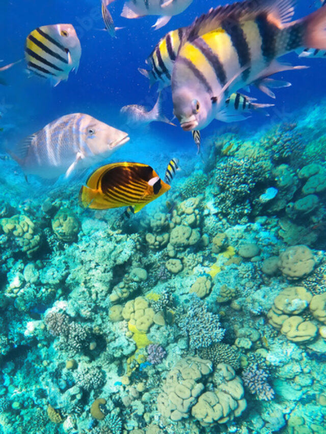 1000_F_379113554_nBfCI8HX0L3dtR2Owh0ASI2z0krME3gr