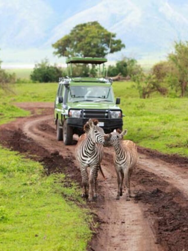 Game-Drive-Ngorongoro-Bookmundi