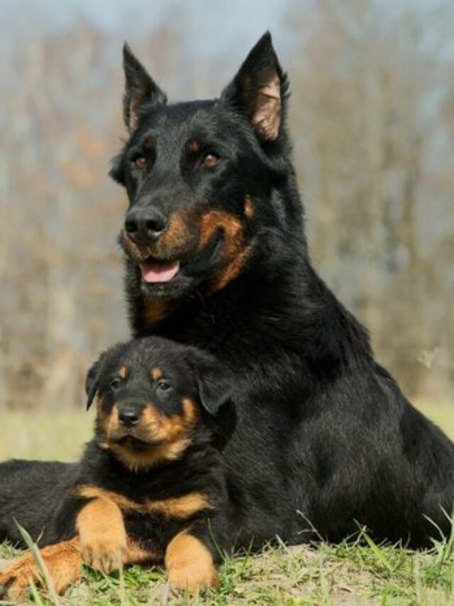 GettyImages-578260352