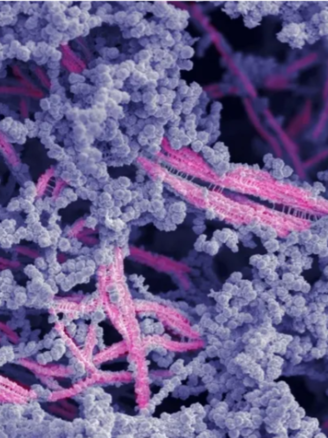 Screenshot 2024-08-07 171602