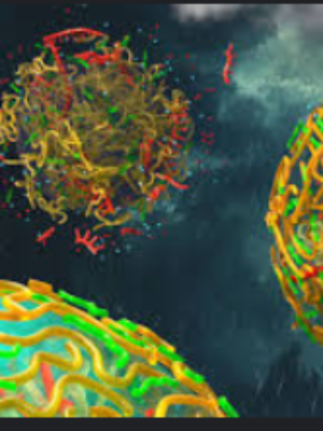 Screenshot 2024-08-22 230040