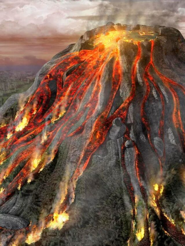 feature-untitled-design