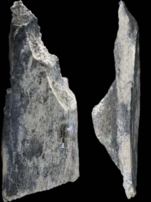 Screenshot 2025-03-06 032210