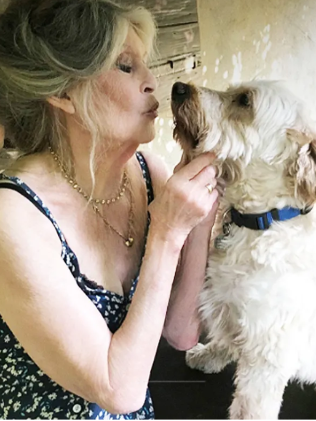 Screenshot 2025-12-29 012736